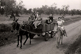 Imágenes de Almendralejo 1950-2020