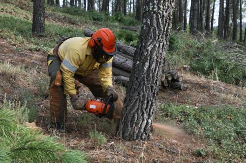 Plan INFOEX: el peligro alto de incendios comienza el lunes 1 de junio