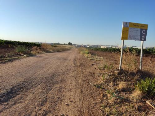 El  Consejo de Gobierno ha autorizado la contratación de trabajos de acondicionamiento y mejora del camino de Lobón