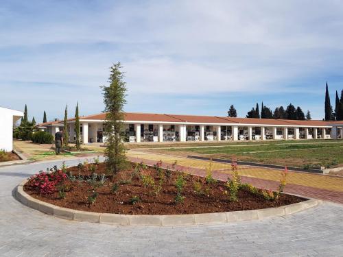 La Concejalía de Cementerio ha coordinado y puesto en marcha un dispositivo municipal para el Día de Todos los Santos y Difuntos